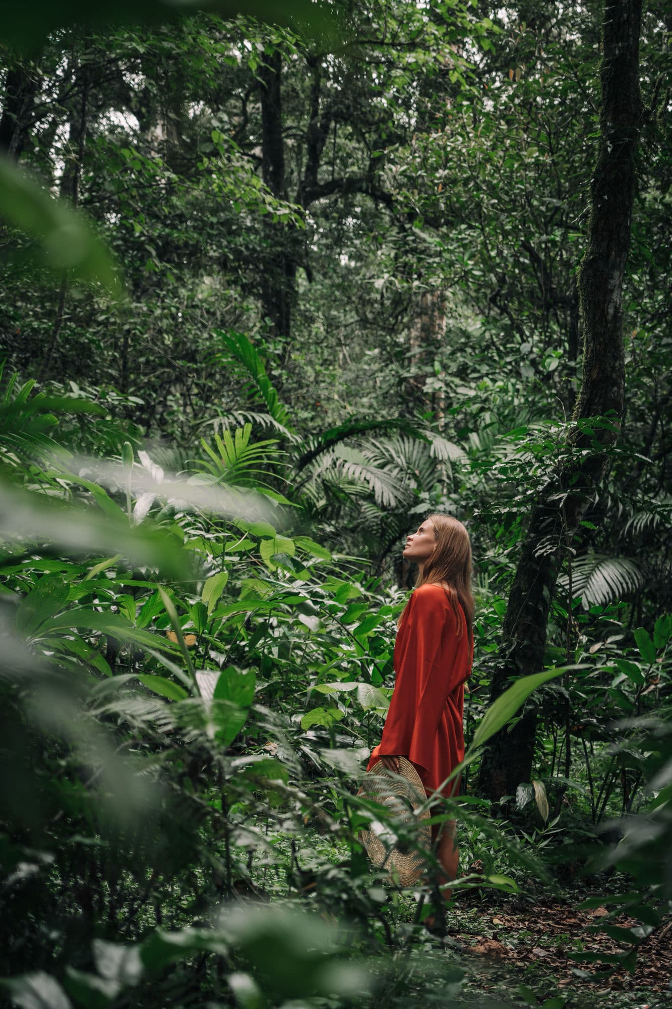 A traveler pausing on a forest trail